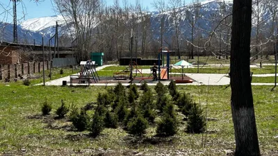 ВКО, "Таза Қазақстан", фото - Новости Zakon.kz от 26.04.2025 12:55