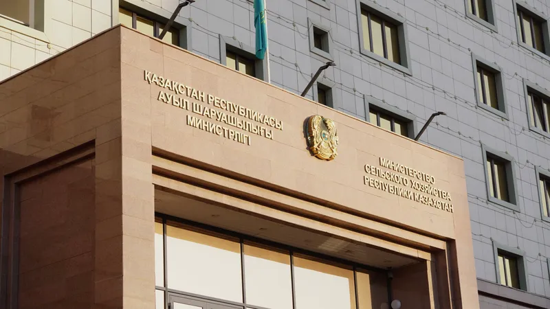 О нарушениях прав инвесторов заявили в Сенате