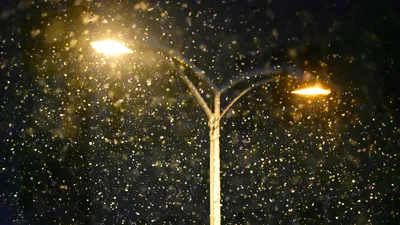 Похолодание, град и осадки: прогноз погоды в Казахстане на 1 мая, фото - Новости Zakon.kz от 30.04.2025 17:28