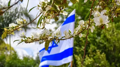 помощь, пожары, Иерусалим, Израиль, огонь, фото - Новости Zakon.kz от 01.05.2025 09:14