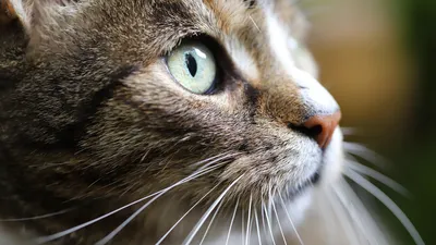 , фото - Новости Zakon.kz от 08.05.2025 10:32