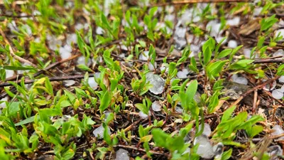 , фото - Новости Zakon.kz от 02.05.2025 15:16