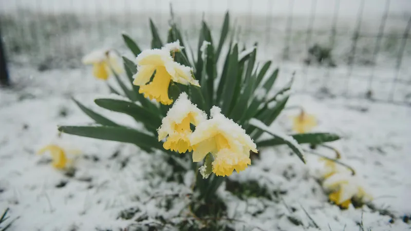 Казахстан в начале мая накроет непогода: ожидаются сильные дожди и снегопад