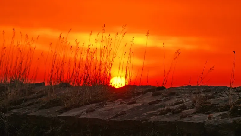 После похолодания Шымкент расплавит майская жара