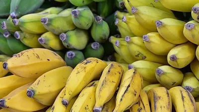 парики предлагают делать из банановых отходов, фото - Новости Zakon.kz от 04.05.2025 01:07