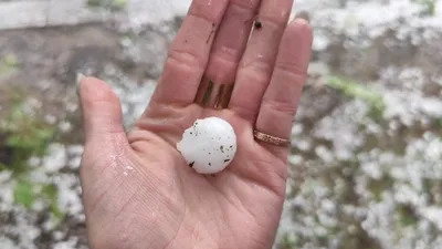 град в Париже, фото - Новости Zakon.kz от 03.05.2025 21:18