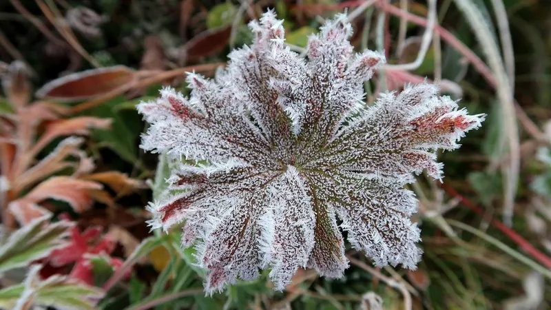 Синоптики предупредили казахстанцев о ночных заморозках