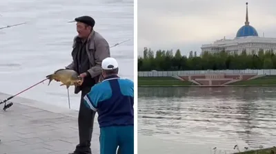 удачный улов напротив Акорды обсуждает Казнет, фото - Новости Zakon.kz от 03.05.2025 22:31