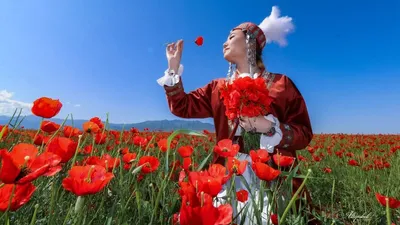 тюльпаны, фото - Новости Zakon.kz от 03.05.2025 17:29