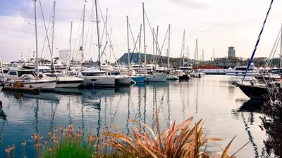 туристы пострадали из-за столкновения двух прогулочных судов в Китае, фото - Новости Zakon.kz от 04.05.2025 18:30