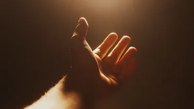 рука, фото - Новости Zakon.kz от 04.05.2025 10:31