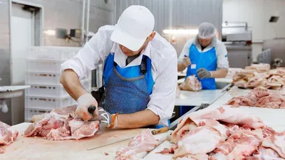 мясное производство, фото - Новости Zakon.kz от 04.05.2025 10:57