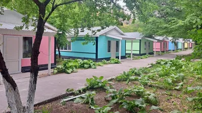 лагерь , фото - Новости Zakon.kz от 22.05.2025 12:23