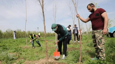 , фото - Новости Zakon.kz от 17.12.2025 14:00