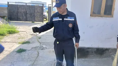 Шымкент, змеи, спасатели , фото - Новости Zakon.kz от 07.05.2025 23:34