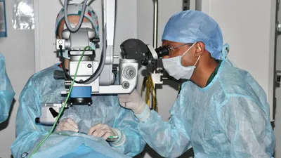 врачи, фото - Новости Zakon.kz от 07.05.2025 17:44