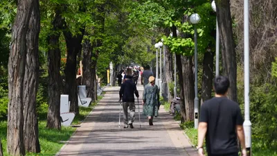 , фото - Новости Zakon.kz от 14.10.2025 15:52