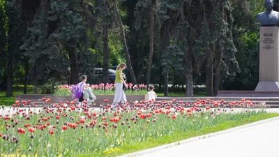 Население, численность населения, население Казахстана, население РК, рост населения в РК, рост населения в Казахстане, народ, казахстанцы, люди , фото - Новости Zakon.kz от 11.05.2025 08:22