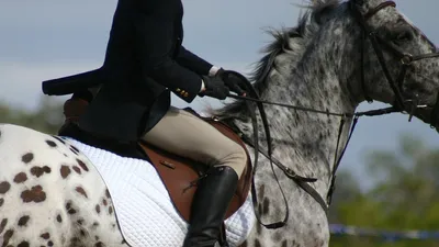 Елена Шишаева - чемпионка Казахстана по паралимпийской выездке, фото - Новости Zakon.kz от 09.05.2025 07:50