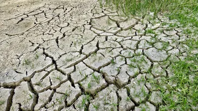 жара, погода, климат, фото - Новости Zakon.kz от 09.05.2025 09:44