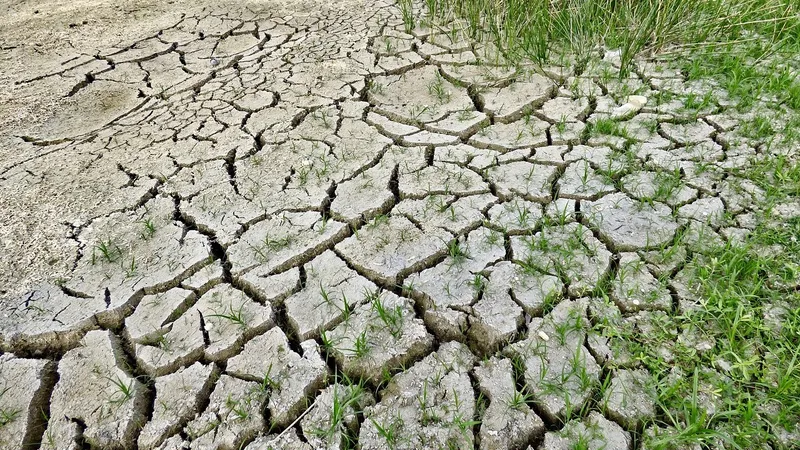 Богатейших людей Земли обвинили в глобальном потеплении
