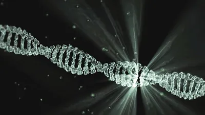 ДНК, наука, фото - Новости Zakon.kz от 10.05.2025 10:58