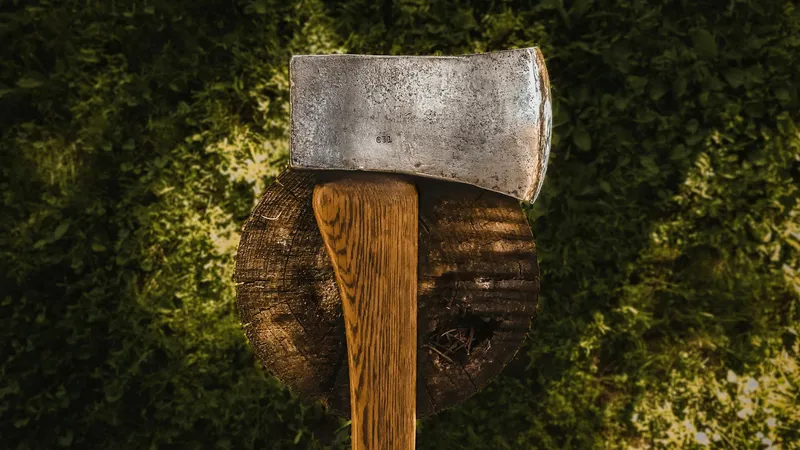 Двое мужчин срубили дерево, известное по фильму "Робин Гуд"