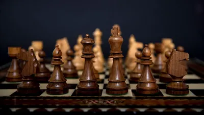 шахматы, игра, спорт, фото - Новости Zakon.kz от 11.05.2025 12:00