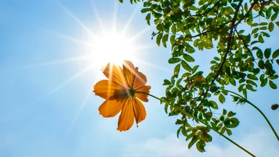 По-летнему жарко будет в Астане, Алматы и Шымкенте: прогноз на 13, 14 и 15 мая, фото - Новости Zakon.kz от 12.05.2025 14:10