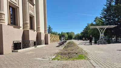 Уральск, спилили деревья, улицы Уральска, акимат, фото - Новости Zakon.kz от 12.05.2025 13:37