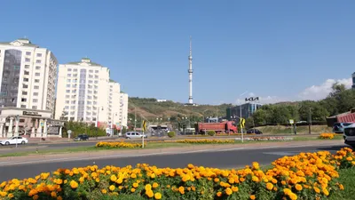 Опубликован первый официальный гастрогид Алматы, фото - Новости Zakon.kz от 14.05.2025 09:14