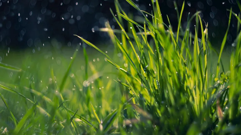 Майская жара до 44°С по Казахстану резко сменится дождями