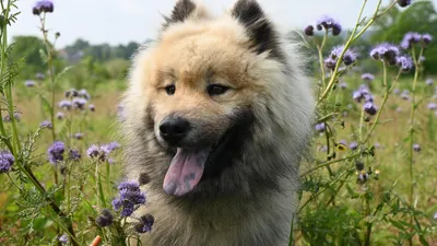 , фото - Новости Zakon.kz от 19.05.2025 10:34