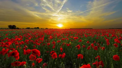 , фото - Новости Zakon.kz от 14.05.2025 17:57