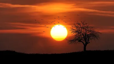 прогноз погоды, фото - Новости Zakon.kz от 15.05.2025 20:05