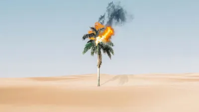 , фото - Новости Zakon.kz от 04.07.2025 14:49