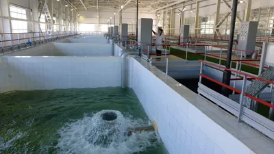 сооружение, Алматы, вода, фото - Новости Zakon.kz от 16.05.2025 13:44