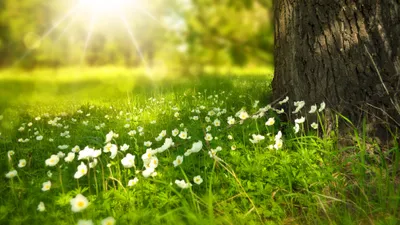 , фото - Новости Zakon.kz от 16.05.2025 11:22