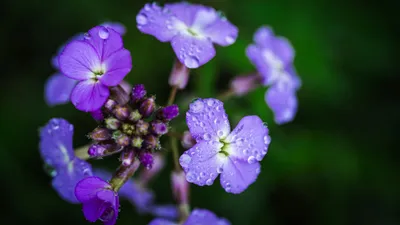 Казахстан, погода, прогноз, жара, смена, дожди, май, фото - Новости Zakon.kz от 16.05.2025 11:22