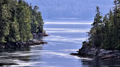 Закрылся You-Tube канал об Аляске, фото - Новости Zakon.kz от 19.05.2025 08:38