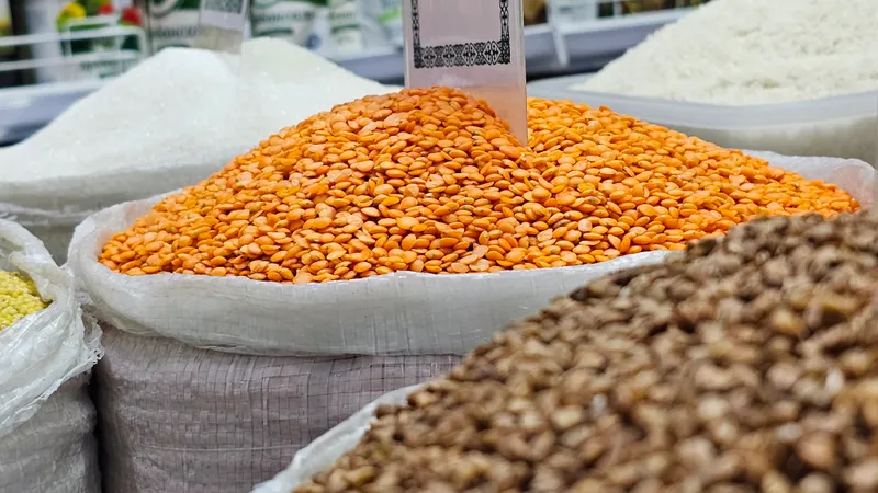 В какие страны планируют продавать урожай 2025 года в Казахстане