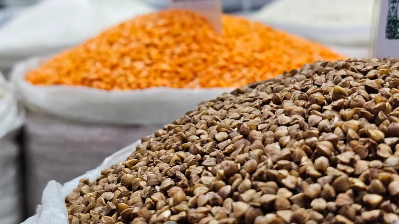 Қазақстан 2025 жылғы өнімді қай елдерге экспорттауды жоспарлауда