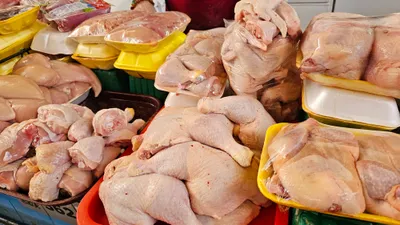 Куриное мясо, филе, курица, мясо птицы, мясной отдел, куриное филе, курятина, фото - Новости Zakon.kz от 06.08.2025 12:44