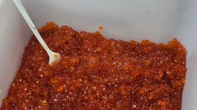 Зеленый базар, рынок, продукты питания, рыбный отдел, сурет - Zakon.kz жаңалық 17.11.2025 14:39