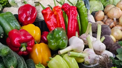 Зеленый базар, рынок, продукты питания, овощи, овощной отдел, цены на овощи, стоимость овощей, сурет - Zakon.kz жаңалық 24.07.2025 13:45