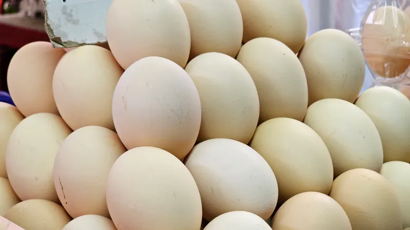 Қазақстанға заңсыз тауық өнімін жеткізу әрекеті әшкереленді