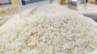 Зеленый базар, рынок, крупы, злаки, крупа, зерновые, каши, зерновые культуры, зерновая продукция, зерновой продукт , сурет - Zakon.kz жаңалық 05.02.2026 11:55