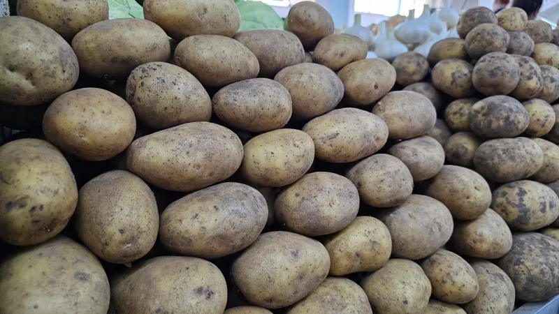 ЕЭК Қазақстанға әкелінетін картопты импорттық баж салығынан босатады