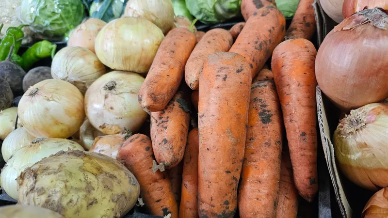 Қолжетімді бағадағы азық-түлік: алматылықтарға жағымды жаңалық хабарланды