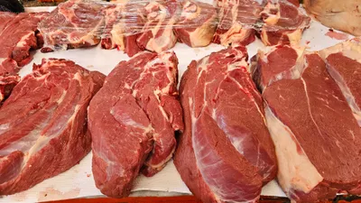 , фото - Новости Zakon.kz от 23.12.2025 11:28